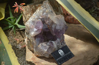 Natural Jacaranda Amethyst Cluster x 1 From Mumbwa, Zambia - TopRock