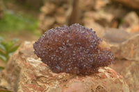 Natural Dark "Amethystos" Amethyst Clusters  x 12 From Kwaggafontein, South Africa - TopRock