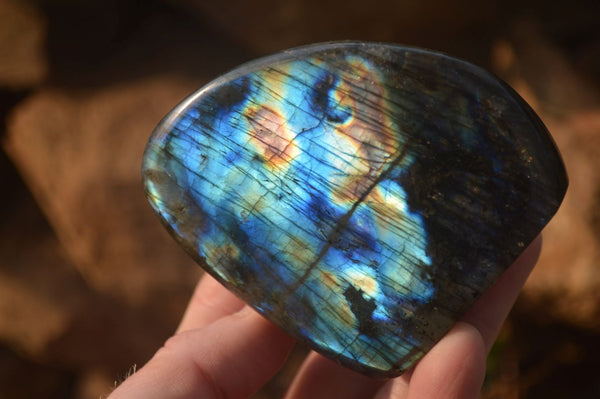 Polished Labradorite Standing Free Forms  x 6 From Tulear, Madagascar