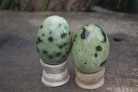 Polished Spotted Leopard Stone Free Forms  x 6 From Nyanga & Shamva, Zimbabwe - Toprock Gemstones and Minerals 