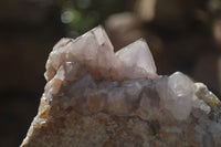 Natural Mixed Spirit Quartz Specimens x 5 From Boekenhouthoek, South Africa