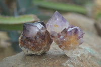 Natural Spirit Amethyst Quartz Crystals  x 24 From Boekenhouthoek, South Africa - Toprock Gemstones and Minerals 