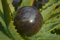 Polished Red Pyrope Garnet Spheres  x 2 From Madagascar - Toprock Gemstones and Minerals 