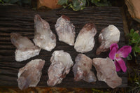 Natural Red Hematoid Quartz Crystal Clusters  x 12 From Karoi, Zimbabwe - TopRock