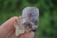 Natural Spirit Amethyst Quartz Crystals  x 24 From Boekenhouthoek, South Africa - Toprock Gemstones and Minerals 