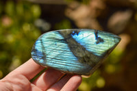 Polished Gorgeous Labradorite Standing Free Forms With Intense Full Face Flash x 6 From Tulear, Madagascar - TopRock