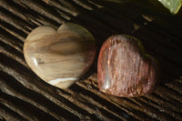 Polished Petrified Wood Hearts x 6 From Mahajanga, Madagascar