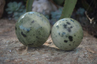 Polished Spotted Leopard Stone Free Forms  x 6 From Nyanga & Shamva, Zimbabwe - Toprock Gemstones and Minerals 