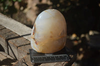 Polished Mixed Agate Standing Free Forms  x 4 From Madagascar