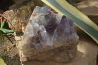 Natural Jacaranda Amethyst Cluster x 1 From Mumbwa, Zambia - TopRock