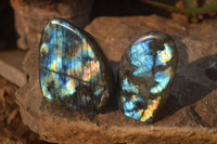 Polished Labradorite Standing Free Forms  x 6 From Tulear, Madagascar