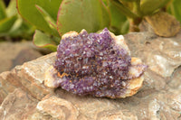 Natural Dark "Amethystos" Amethyst Clusters  x 12 From Kwaggafontein, South Africa - TopRock