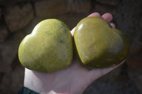 Polished Green Opal Gemstone Hearts  x 6 From Antsirabe, Madagascar