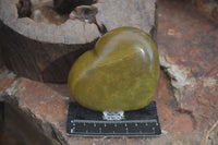 Polished Green Opal Gemstone Hearts  x 6 From Antsirabe, Madagascar