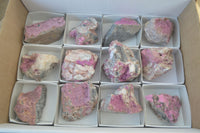 Natural Salrose Cobaltion Dolomite Specimens x 12 From Kakanda, Congo