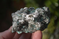 Natural Rare Emerald Mica In Matrix Cobbed Specimens x 12 From Mutoko, Zimbabwe