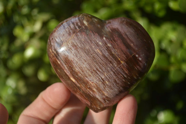 Polished Petrified Wood Hearts x 6 From Mahajanga, Madagascar