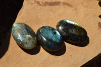 Polished Flashy Labradorite Palm Stones  x 20 From Tulear, Madagascar - TopRock