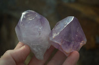 Natural Jacaranda Amethyst Specimens  x 6 From Mumbwa, Zambia - Toprock Gemstones and Minerals 