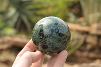 Polished Stromatolite / Kambamba Jasper Spheres  x 4 From Katsepy, Madagascar - TopRock