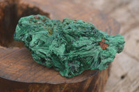 Natural Chatoyant Silky Malachite Specimens  x 5 From Kasompe, Congo - TopRock