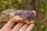 Natural Dark "Amethystos" Amethyst Clusters  x 12 From Kwaggafontein, South Africa - TopRock