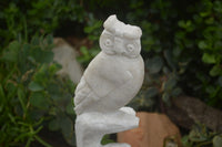 Polished Sparkling White Marble Owl Sculpture  x 1 From Zimbabwe - TopRock