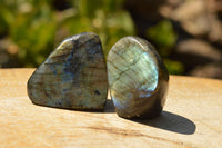 Polished Gorgeous Labradorite Standing Free Forms With Intense Full Face Flash x 6 From Tulear, Madagascar - TopRock