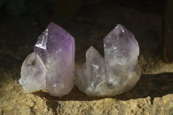 Natural Single Jacaranda Amethyst Crystals x 12 From Mumbwe, Zambia