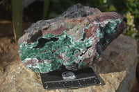 Natural Exquisite Bright Green Drusy Quartz Coated Malachite On Red Copper Dolomite Specimen  x 1 From Likasi, Congo - Toprock Gemstones and Minerals 