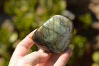 Polished Gorgeous Labradorite Standing Free Forms With Intense Full Face Flash x 6 From Tulear, Madagascar - TopRock