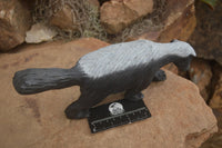 Polished African Honey Badger Carving  x 1 From Zimbabwe - TopRock