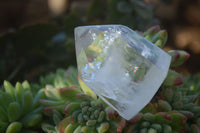 Polished  Clear Quartz Crystal Points  x 12 From Madagascar