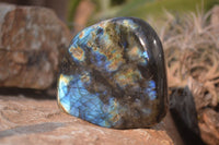 Polished Labradorite Standing Free Forms  x 6 From Tulear, Madagascar