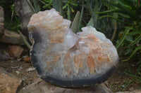 Polished Large Half Moon Agate Crystal Specimen  x 1 From Maintirano, Madagascar - Toprock Gemstones and Minerals 