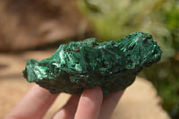 Natural Chatoyant Silky Malachite Specimens  x 5 From Kasompe, Congo - TopRock