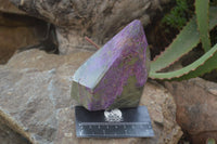 Polished Stichtite & Serpentine Points x 2 From Barberton, South Africa