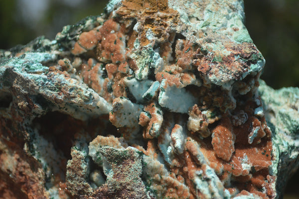 Natural Blue Drusy Chrysocolla Dolomite Pseudomorph Specimen  x 1 From Likasi, Congo - TopRock