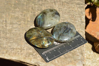 Polished Flashy Labradorite Palm Stones  x 20 From Tulear, Madagascar - TopRock