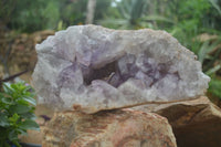 Natural Jacaranda Amethyst Cluster x 1 From Mumbwa, Zambia - TopRock