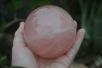 Polished Rare Star Rose Quartz Spheres  x 2 From Ambatondrazaka, Madagascar - Toprock Gemstones and Minerals 