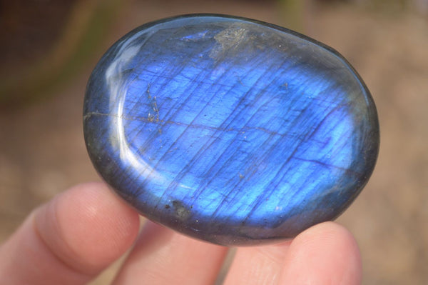 Polished  Flashy Labradorite Palm Stones  x 20 From Madagascar