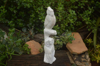 Polished Sparkling White Marble Owl Sculpture  x 1 From Zimbabwe - TopRock