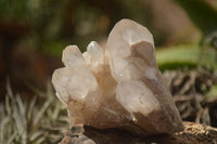 Natural Red Hematoid Quartz Crystal Clusters  x 12 From Karoi, Zimbabwe - TopRock