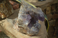 Natural Jacaranda Amethyst Cluster x 1 From Mumbwa, Zambia - TopRock