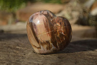 Polished Petrified Wood Hearts x 6 From Mahajanga, Madagascar