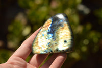 Polished Gorgeous Labradorite Standing Free Forms With Intense Full Face Flash x 6 From Tulear, Madagascar - TopRock