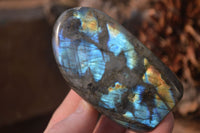 Polished Labradorite Standing Free Forms  x 6 From Tulear, Madagascar