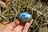 Polished Flashy Labradorite Palm Stones  x 20 From Tulear, Madagascar - TopRock