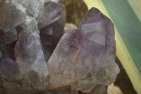 Natural Jacaranda Amethyst Cluster x 1 From Mumbwa, Zambia - TopRock